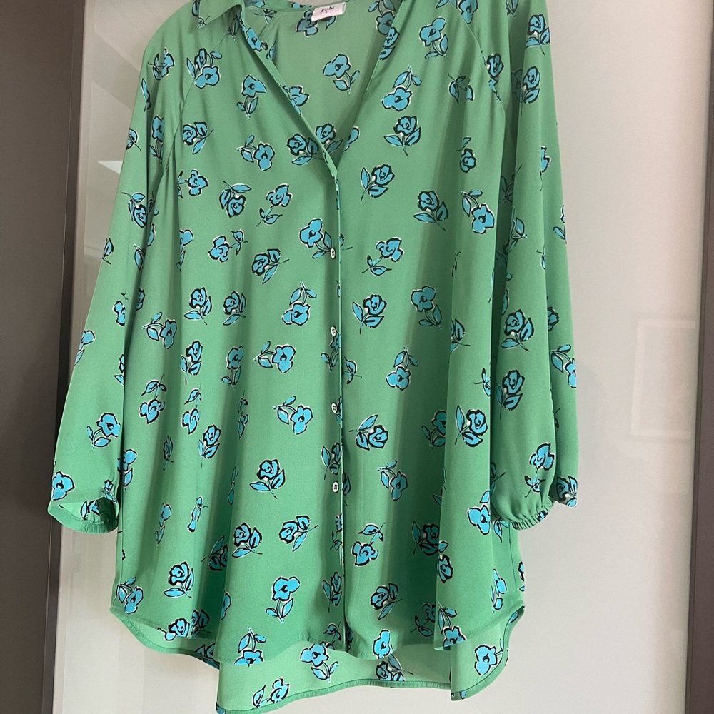 CAbi Green and Blue Floral Blouse